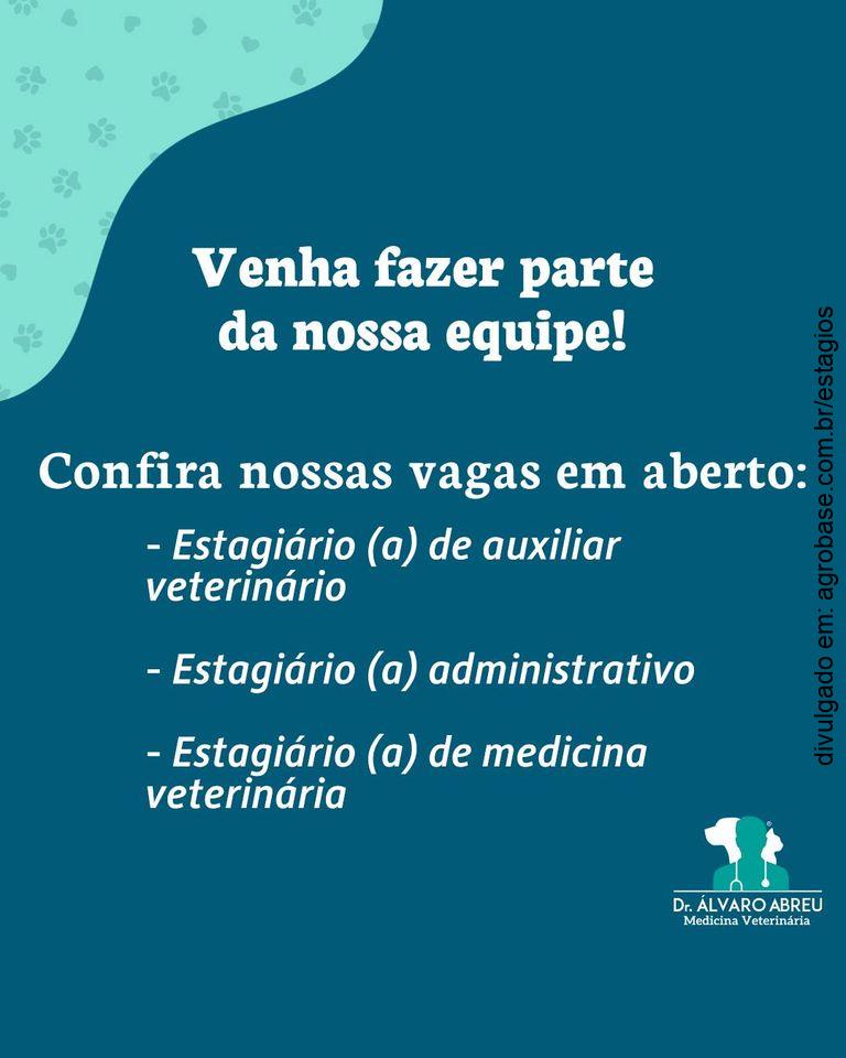 Estagiário de medicina veterinária – Canela/RS