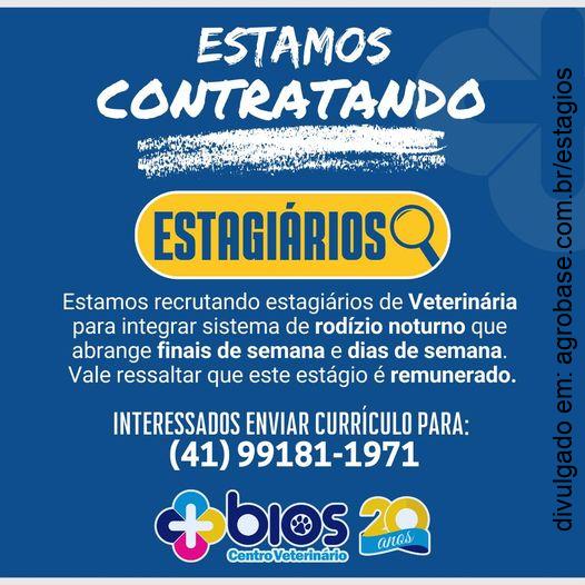 Estagiários centro veterinário – Curitiba/PR