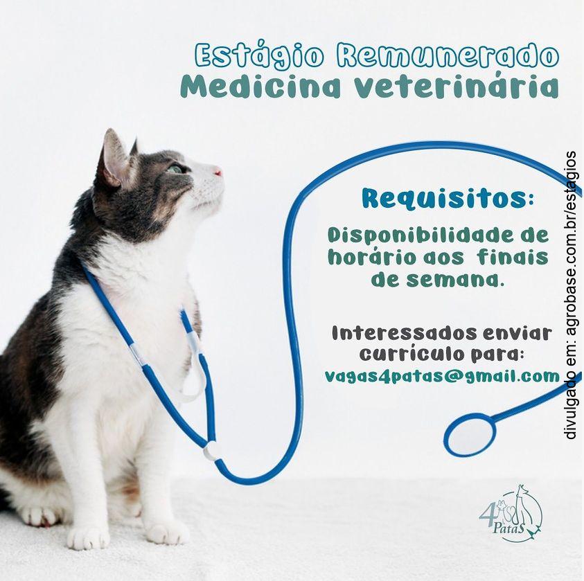 Estágio remunerado em med. veterinário – Joinville/SC