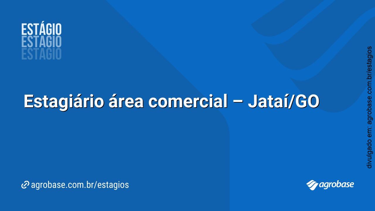 Estagiário área comercial – Jataí/GO