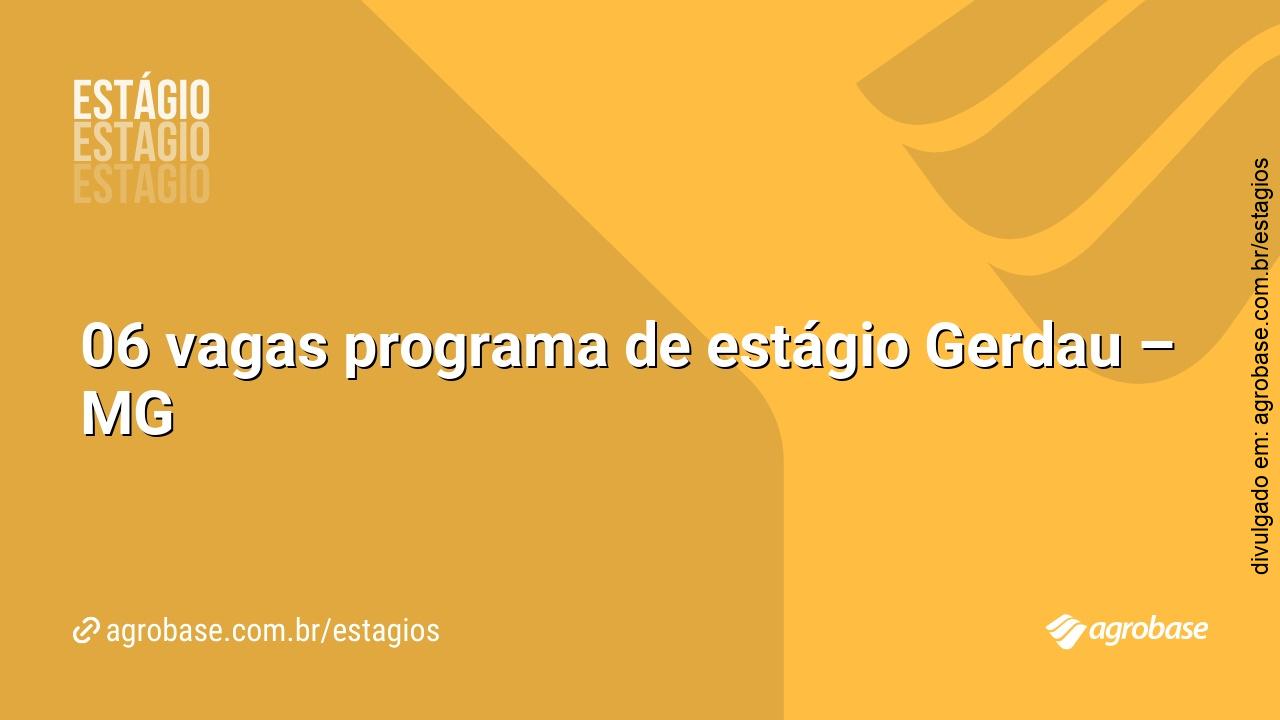 06 vagas programa de estágio Gerdau – MG