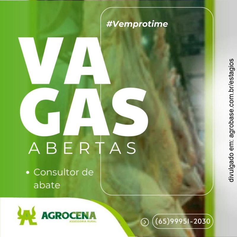 Consultor de abate – Rondonópolis ou Pedra Preta/MT