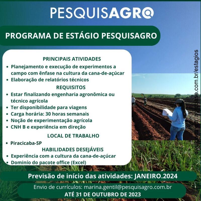 Programa de estágio Pesquisagro 2024 – Piracicaba/SP