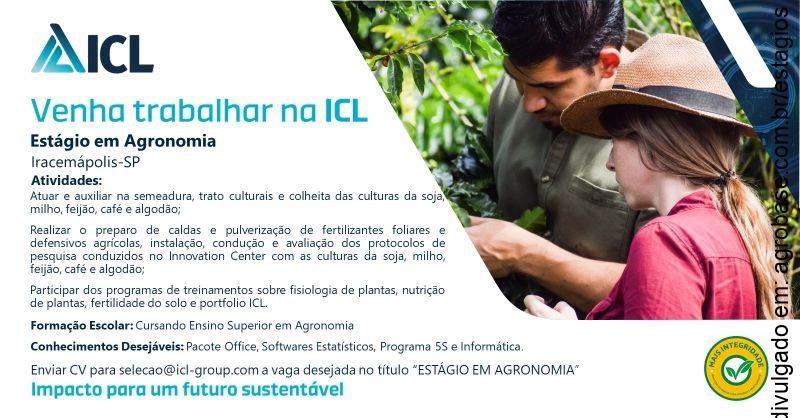 Estágio em agronomia – Iracemápolis/SP
