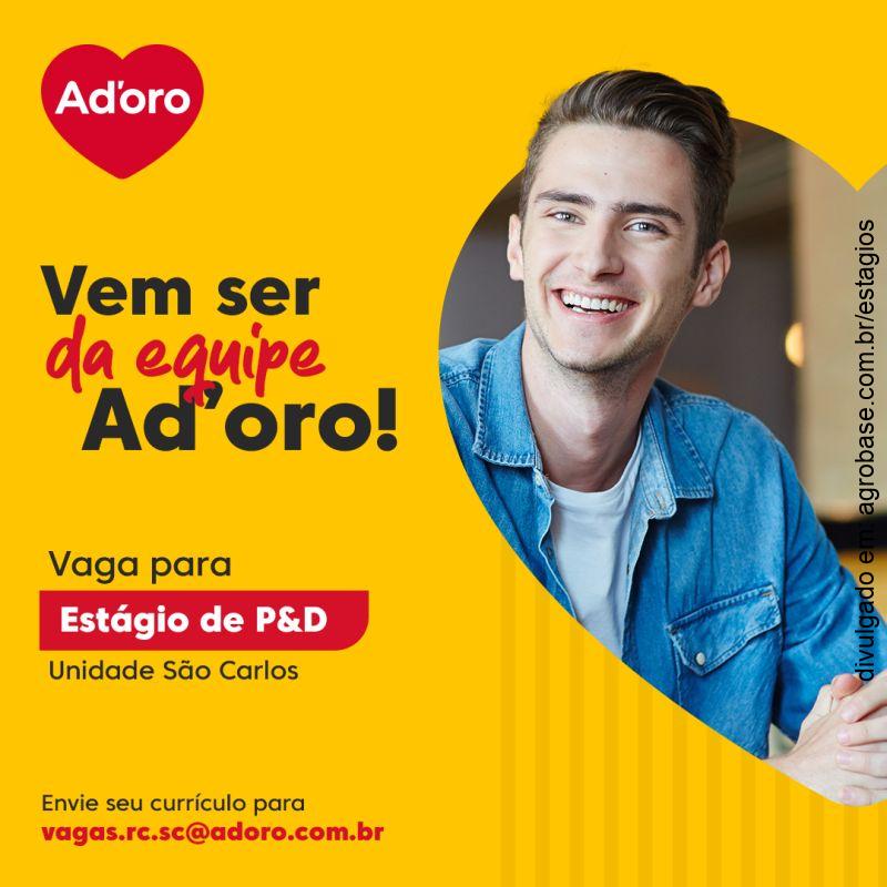 Estágio área p&d – São Carlos/SP