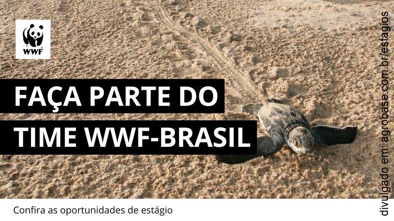 Estágio de conservação (áreas degradadas) – Brasília/DF