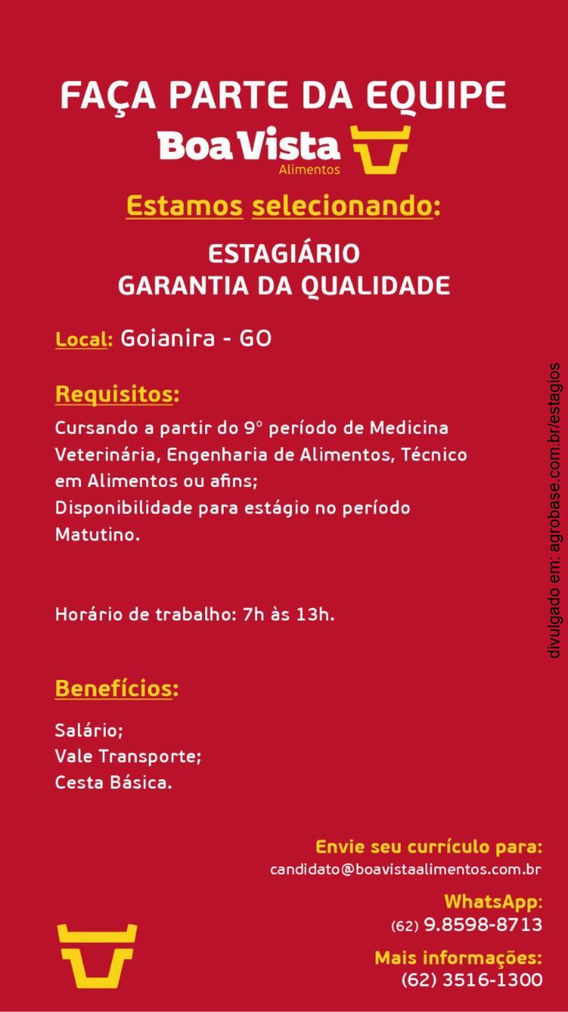 Estagiário em garantia da qualidade – Goianira/GO