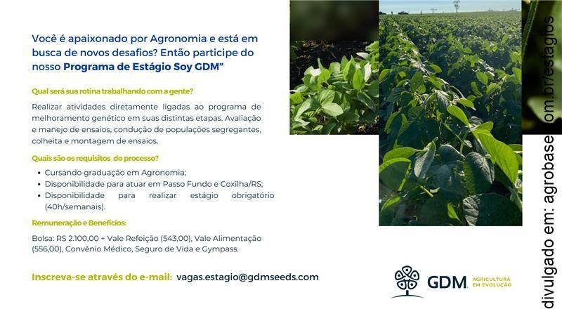 Programa de estágio soy – Passo Fundo e Coxilha/RS