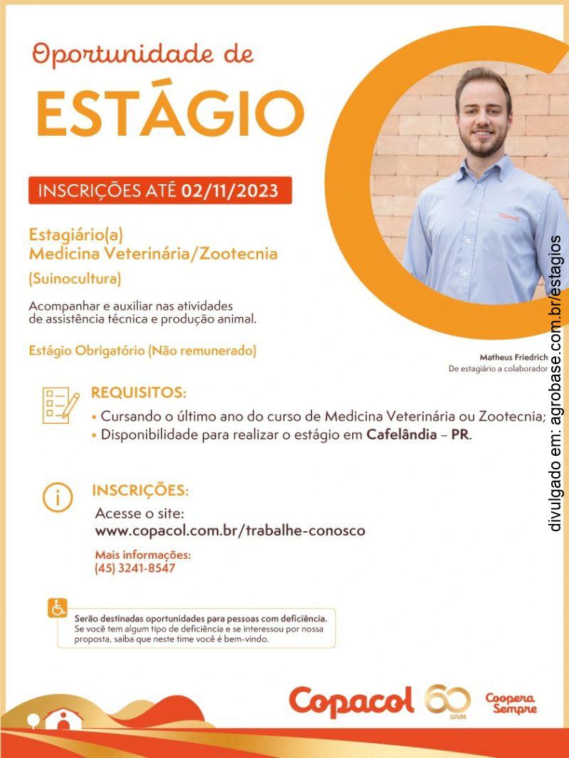 Estágio em suinocultura – Cafelândia/PR