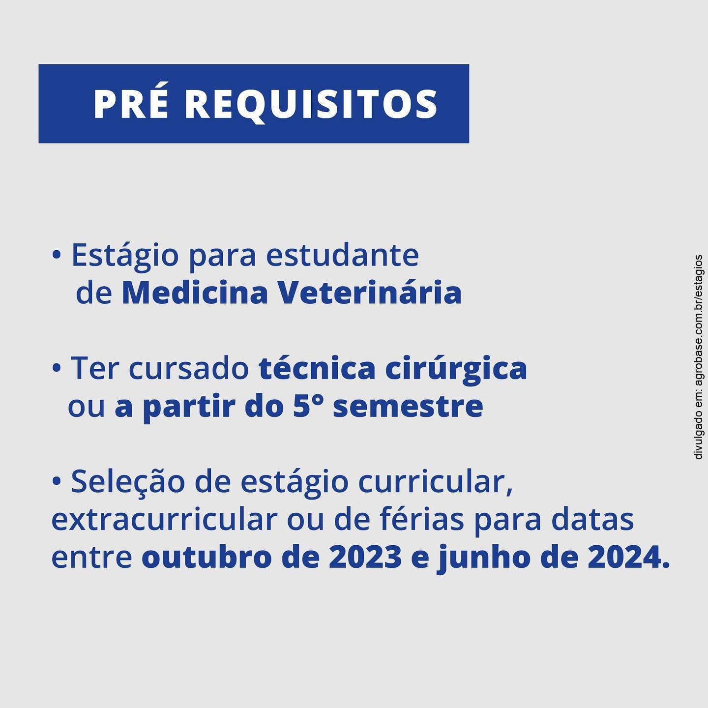 Estágio em clínica veterinária – Brasília/DF