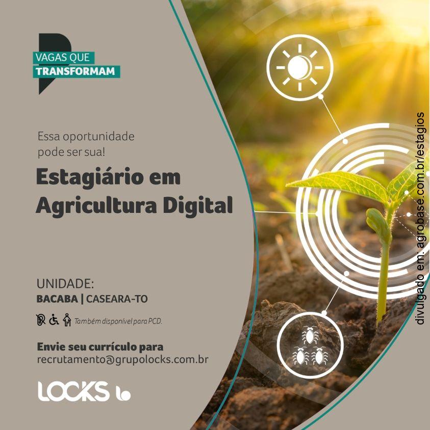Estagiário em agricultura digital – Caseara/TO