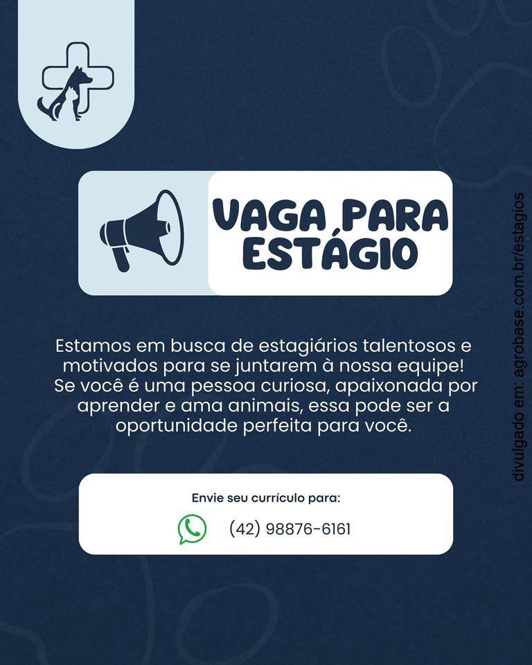 Estágio em hospital veterinário – Porto União/SC
