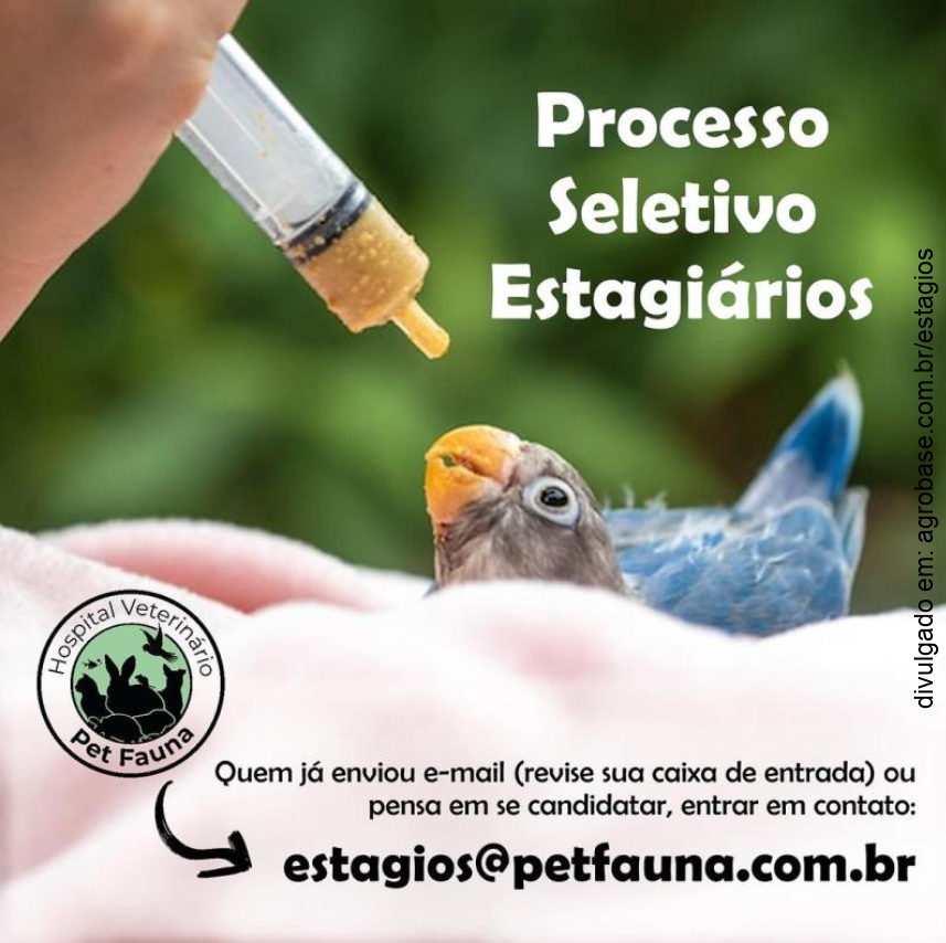 Estágio em veterinária – RS