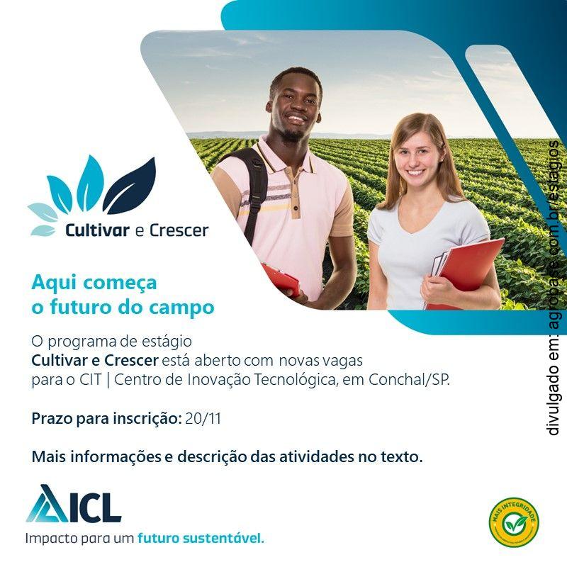 Estágio em agronomia – Conchal/SP