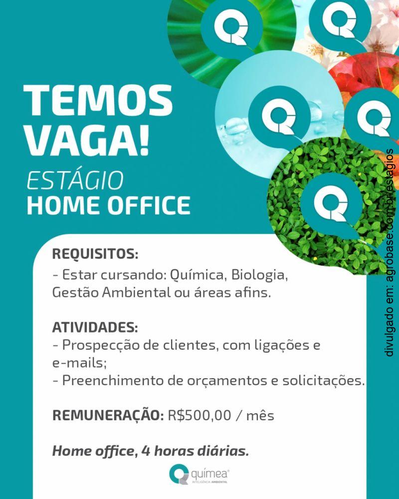 Estágio em consultoria ambiental – home office