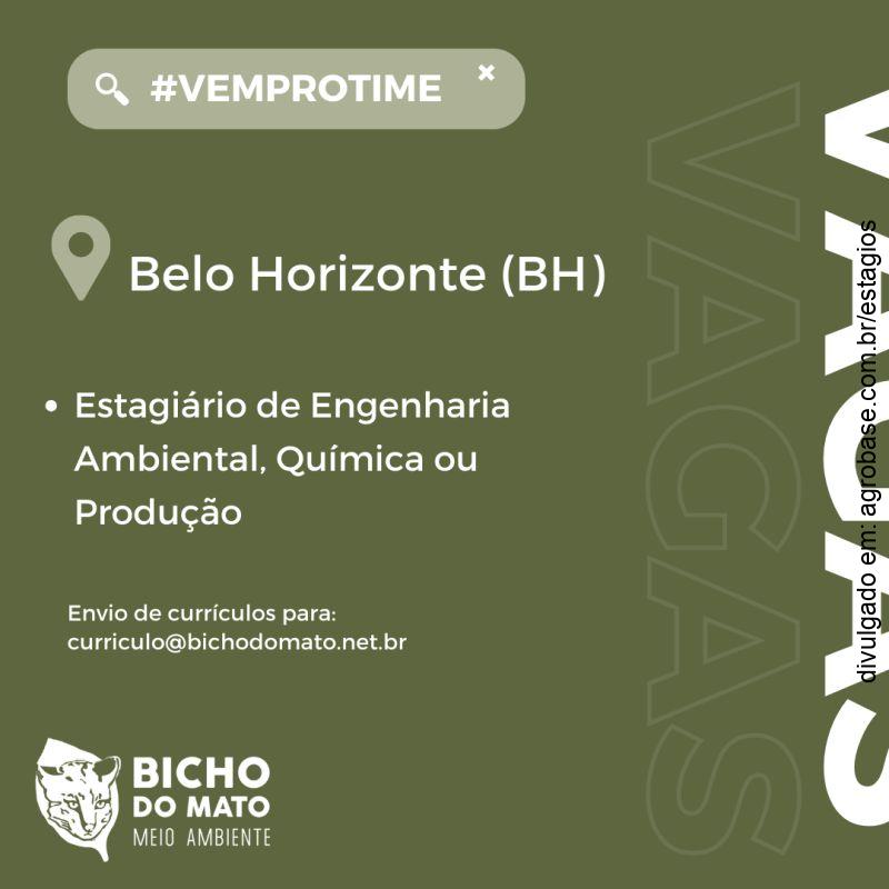 Estagiário eng. ambiental, química ou produção – Belo Horizonte/MG