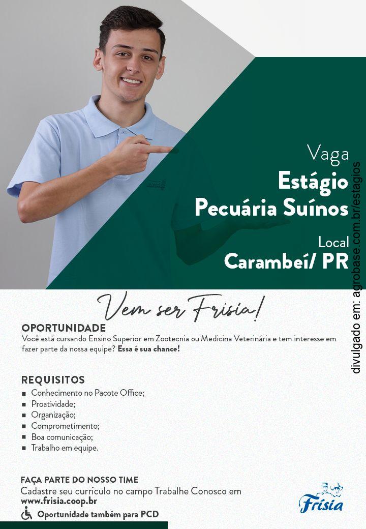 Estágio pecuária suínos – Carambeí/PR