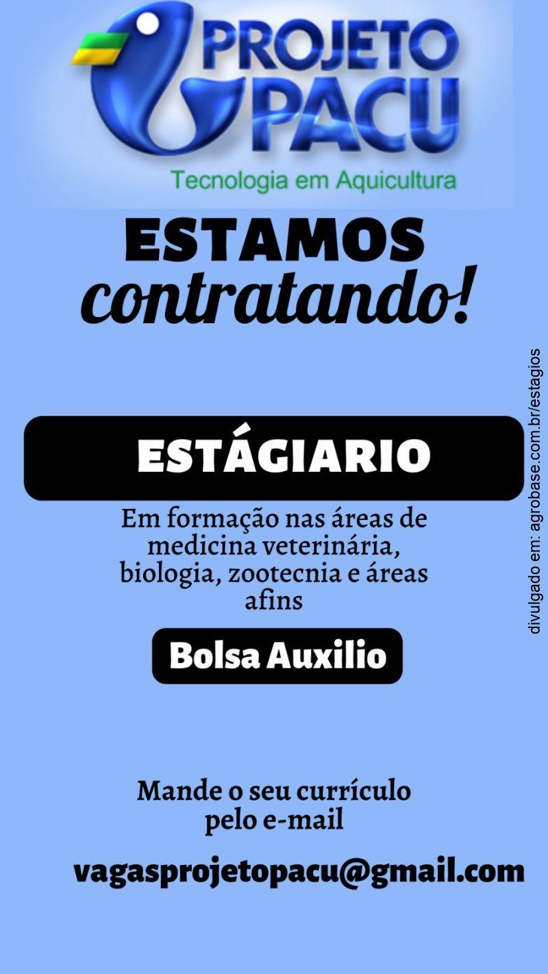Estágio nas áreas de medicina veterinária, biologia, zootecnia – MS