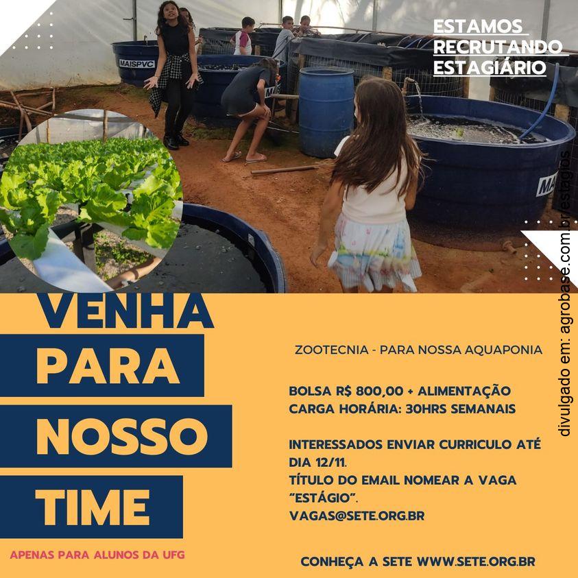 Estágio em zootecnia [apenas alunos UFG]