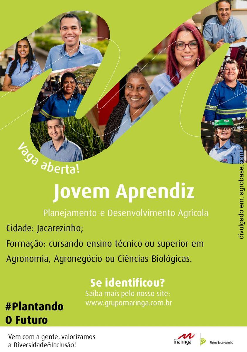 Jovem aprendiz (planejamento e dev agrícola) – Jacarezinho/PR