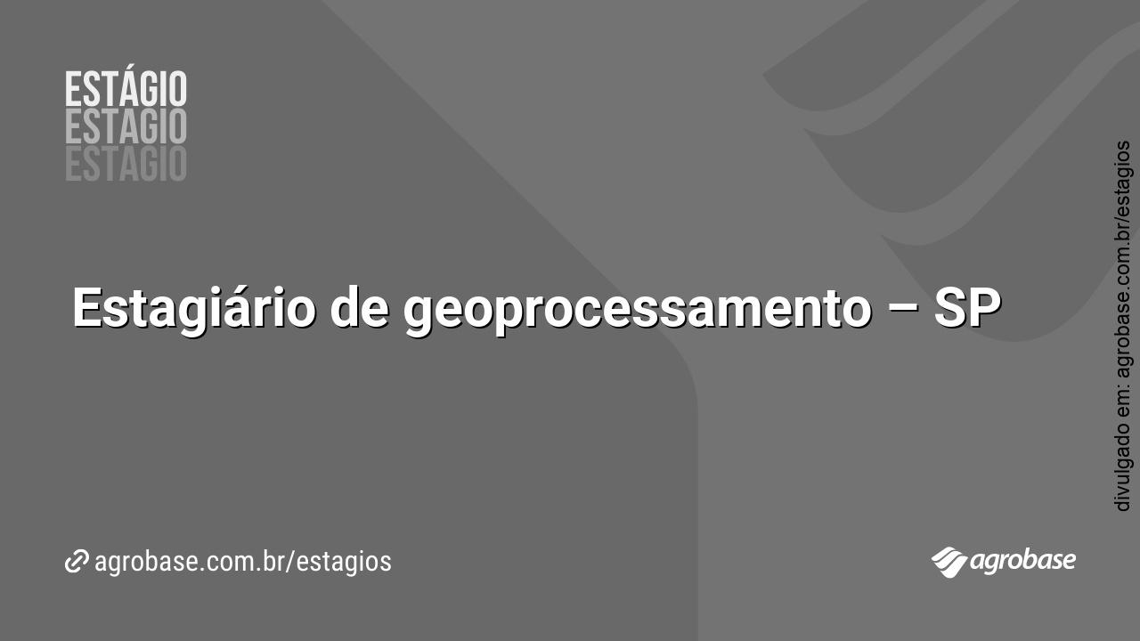 Estagiário de geoprocessamento – SP