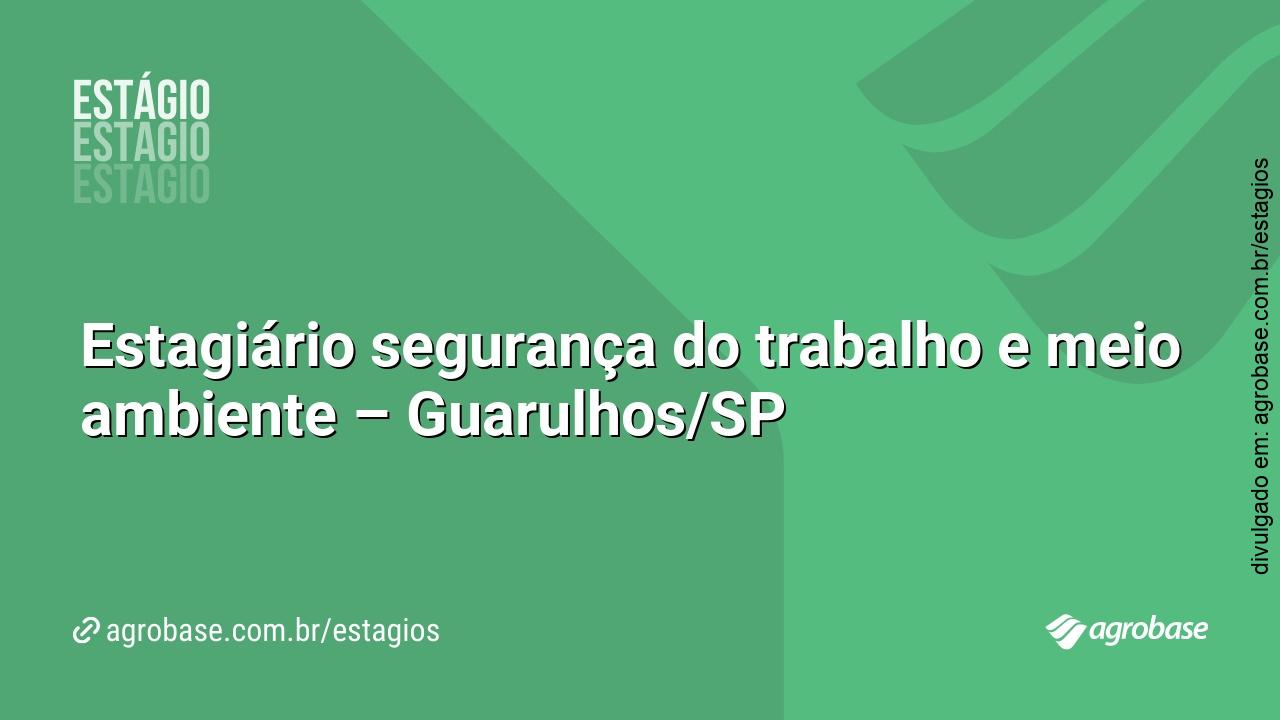 Estagiário segurança do trabalho e meio ambiente – Guarulhos/SP