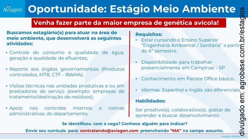 Estágio em meio ambiente – Campinas/SP