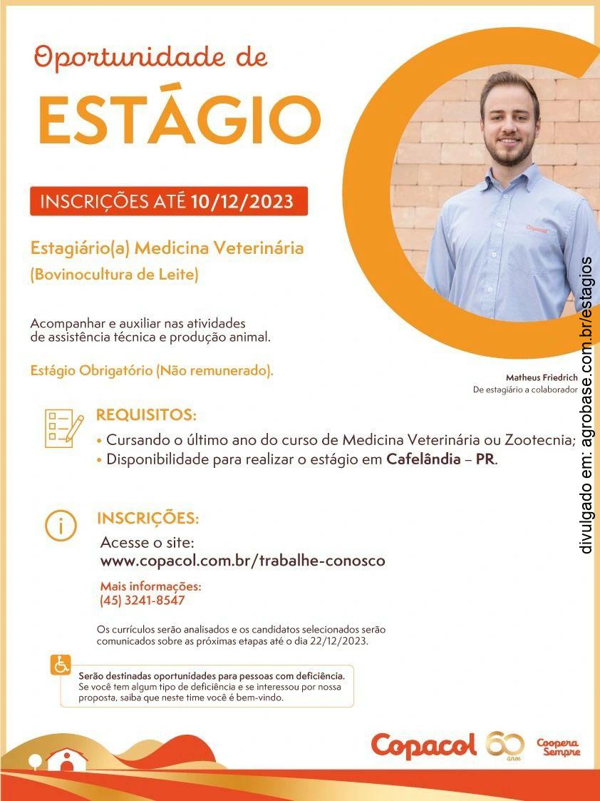 Estágio bovinocultura leiteira – Cafelândia/PR