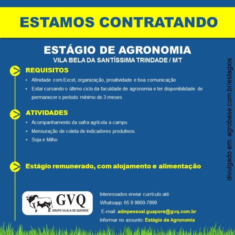 Estágio de agronomia – Vila Bela da Santíssima Trindade/MT