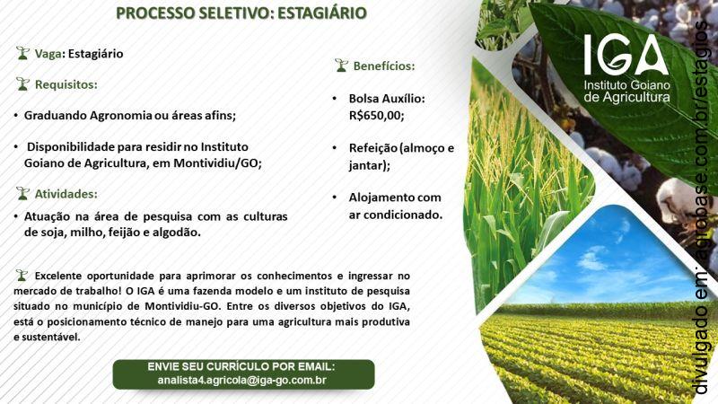 Estágio em agronomia – Montividiu/GO