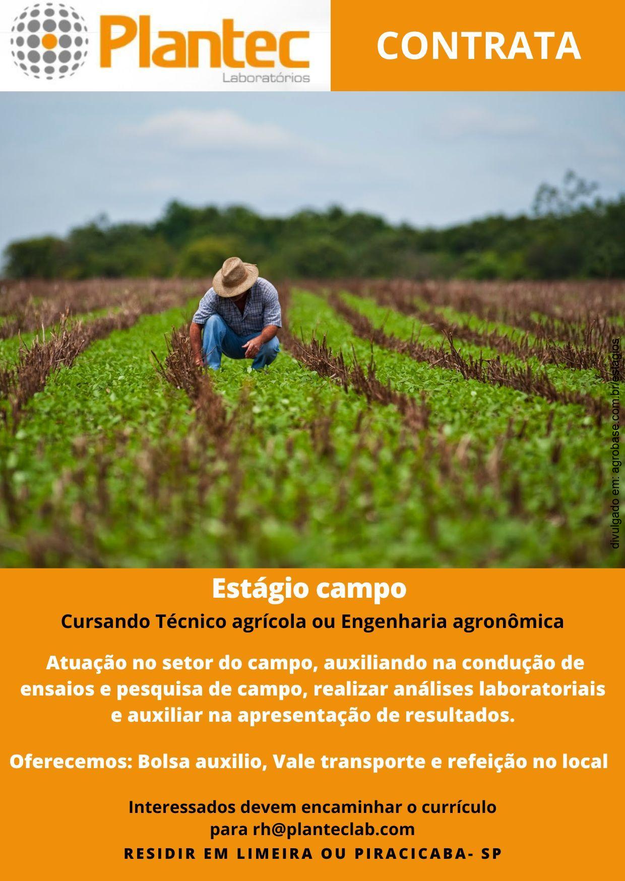 Estagiário de campo – Limeira ou Piracicaba/SP