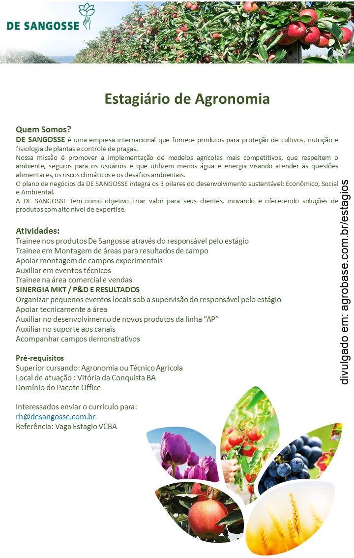 Estagiário de agronomia – Vitória da Conquista/BA