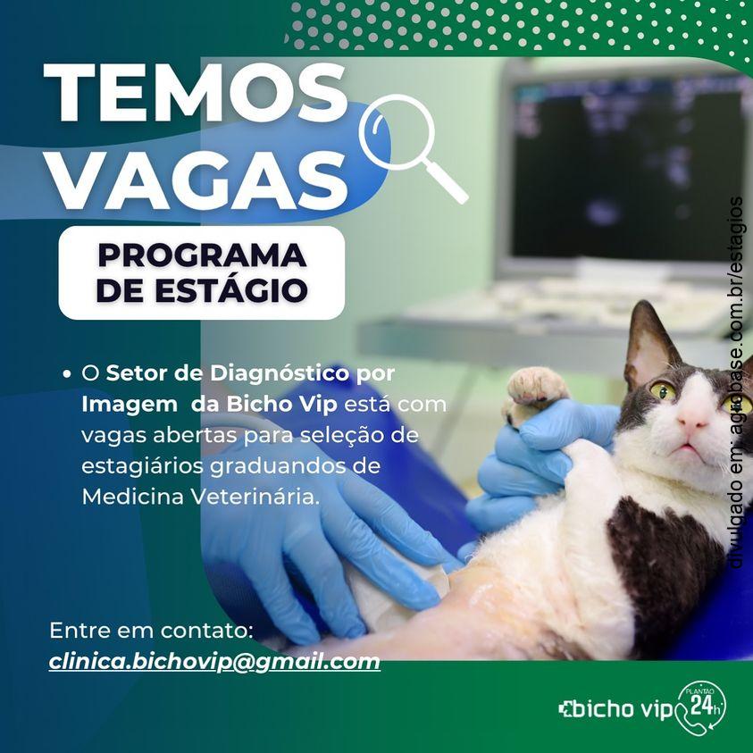 Programa de estágio em med. veterinária – Vacaria/RS