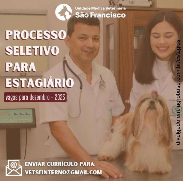 Estágio em medicina veterinária – Avaré/SP