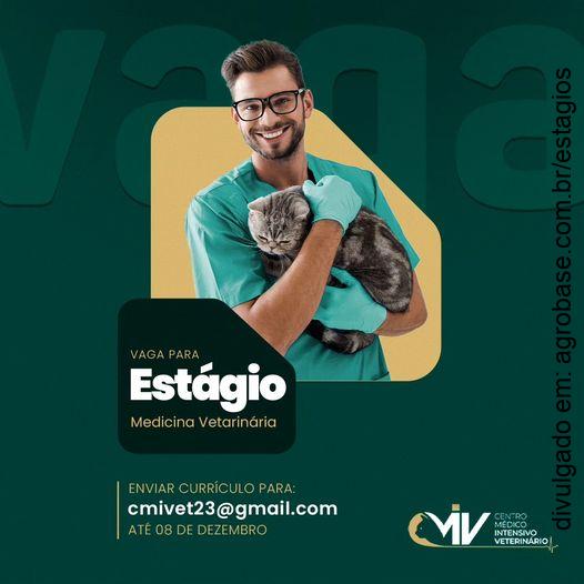 Estágio medicina veterinária – Três Corações/MG