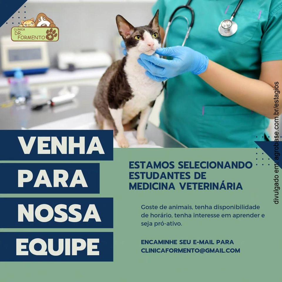 Estágio em med. veterinária