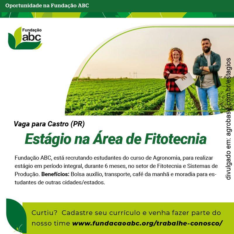 Estágio na área de fitotecnia – Castro/PR