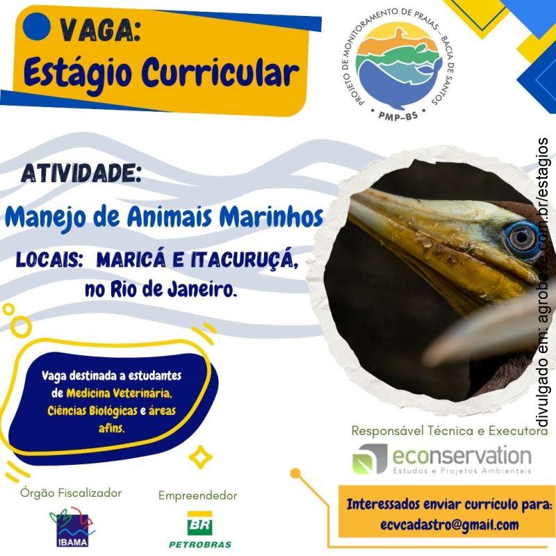 4 vagas estágio manejo de animais marinhos – RJ