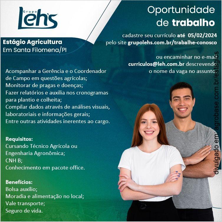 Estágio agricultura – Santa Filomena/PI
