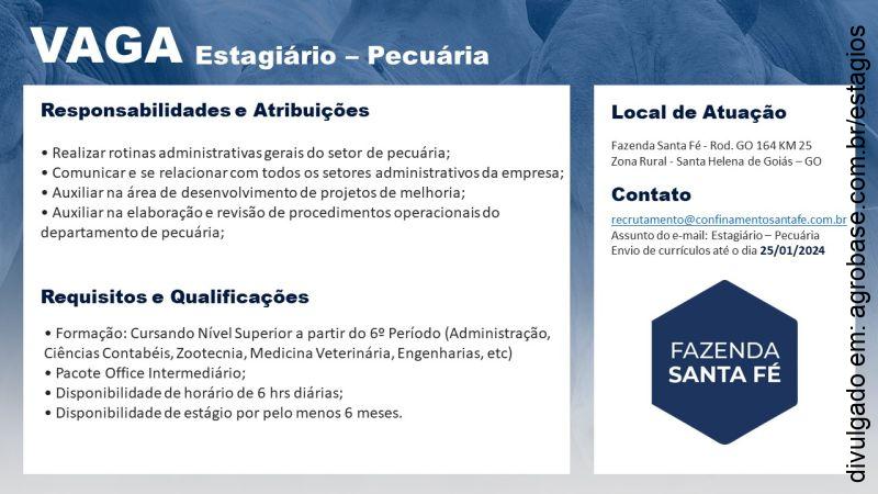 Estagiário de pecuária – Sta. Helena de Goiás/GO