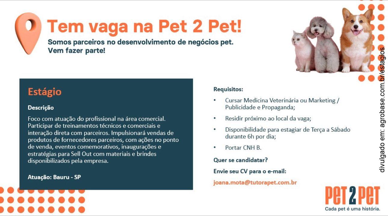 Estágio medicina veterinária – Bauru/SP