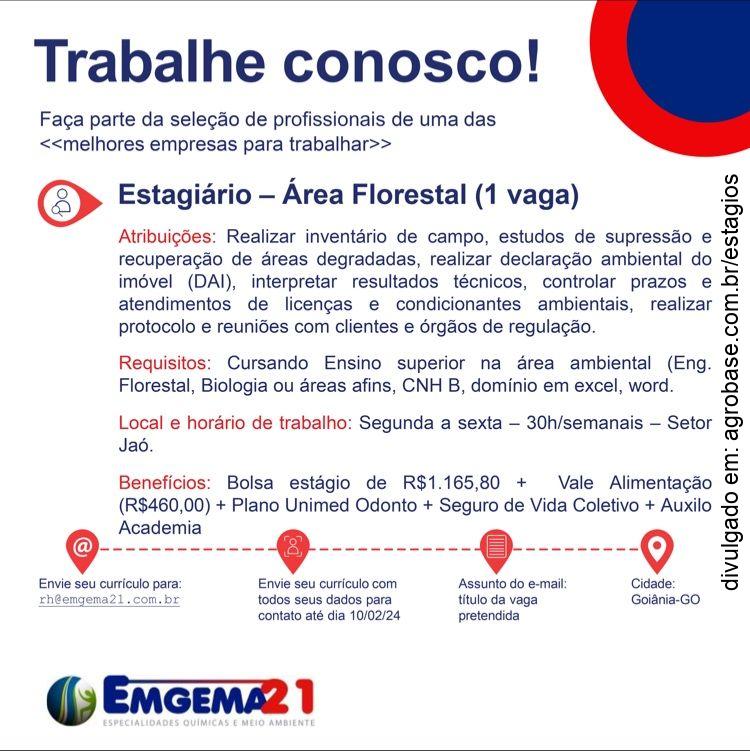 Estagiário área florestal