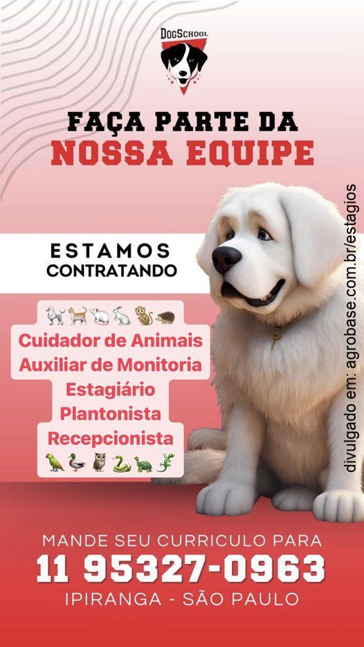 Estagiário medicina veterinária – São Paulo/SP [Ipiranga]