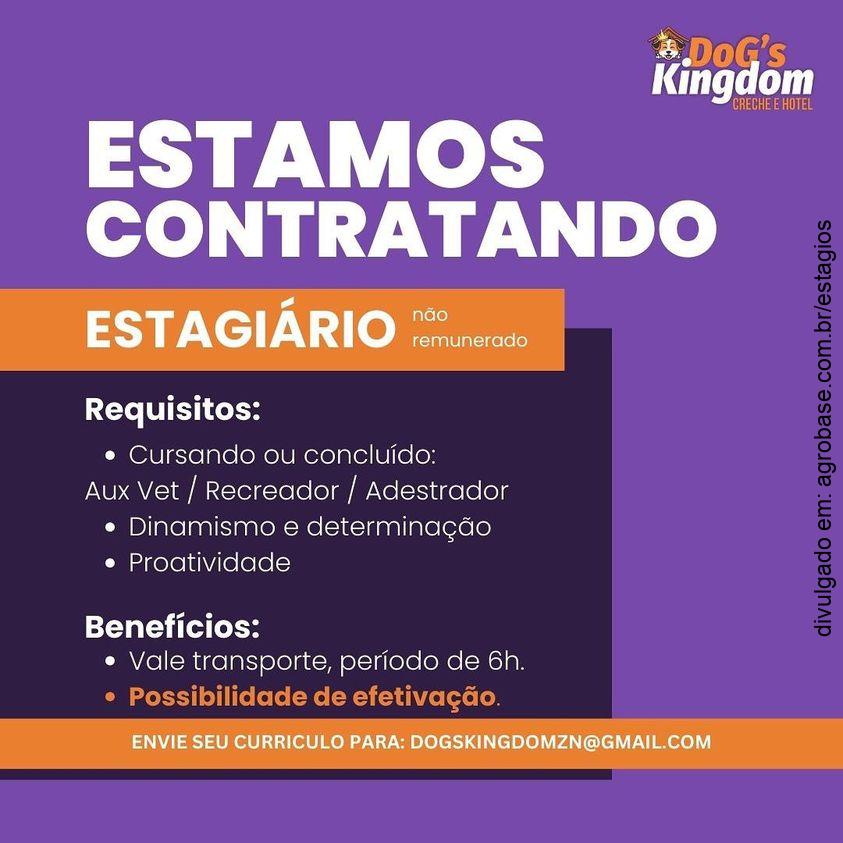 Estágio em medicina veterinária – São Paulo/SP