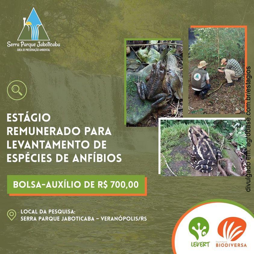 Estágio remunerado para levantamento de espécies de anfíbios [Biologia Unisinos]