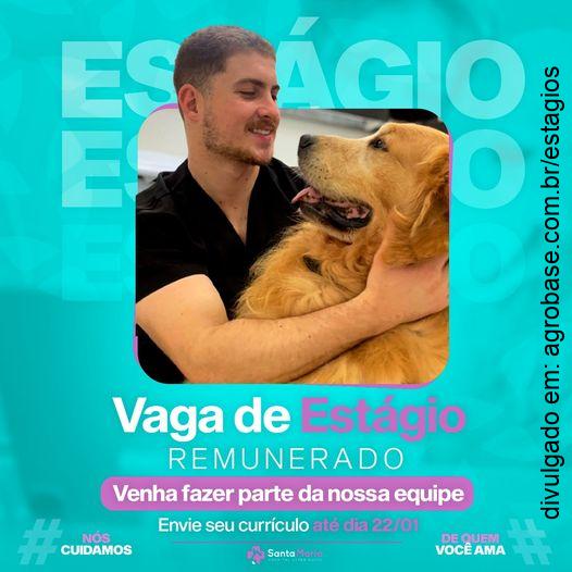 Estágio hospital veterinário – União da Vitória/PR