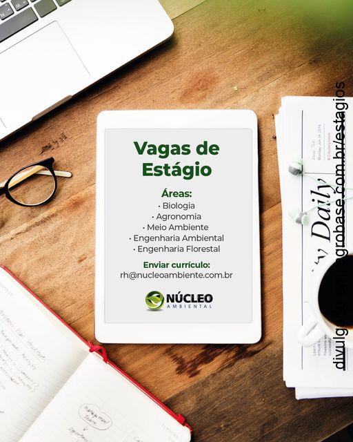 Vagas de estágio área ambiental – Vitória/ES