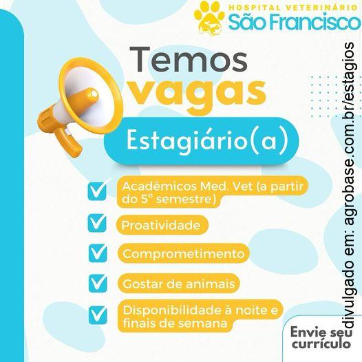 Vaga estagiário(a) hospital veterinário – Santiago/RS