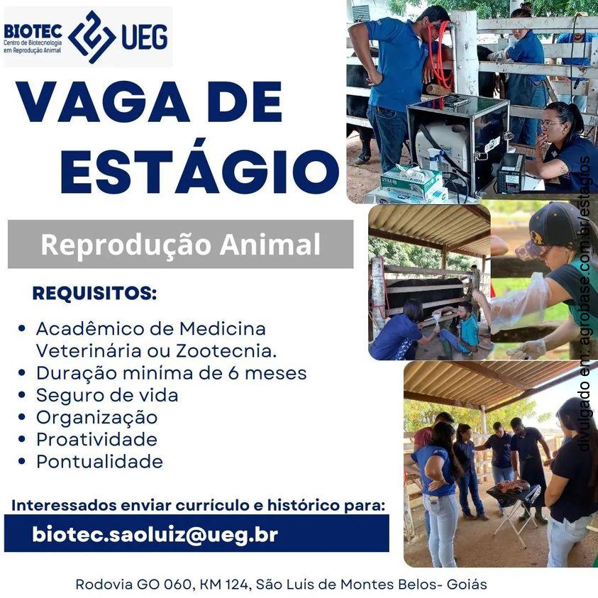 Estágio em reprodução animal – GO