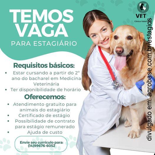 Vaga estágio clínica veterinária – Jaú/SP